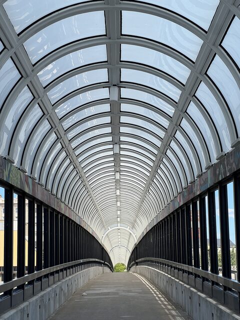 The glass ceiling of an enclosed skywalk